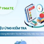 Hiệu ứng kiểm tra