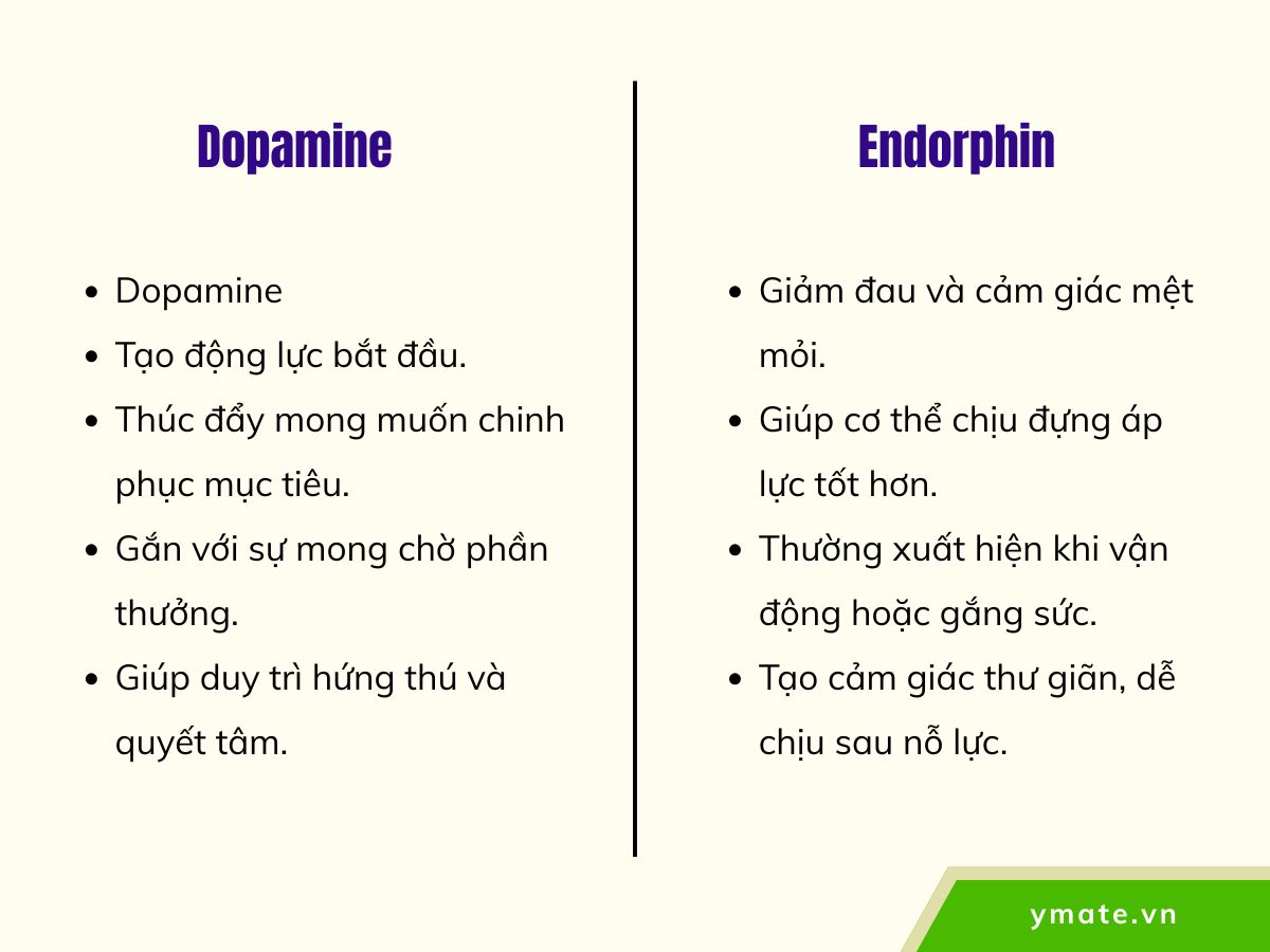 Sự khác biệt giữa Dopamine và Endorphin