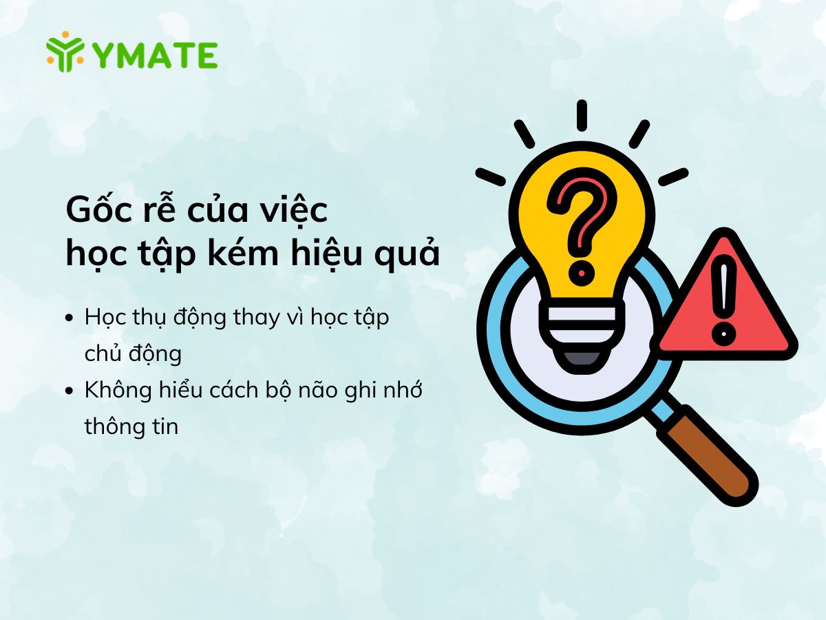 Gốc rễ của việc học tập kém hiệu quả