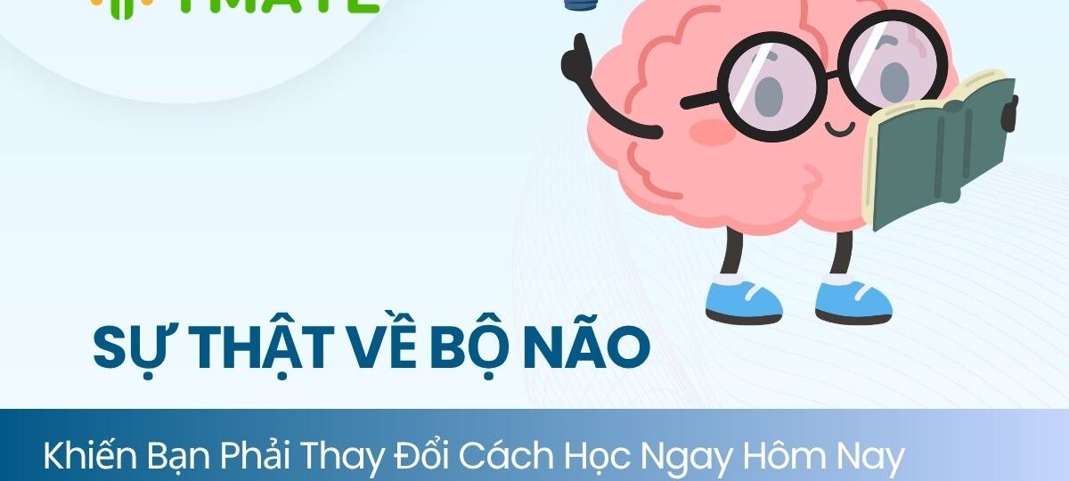 Sự thật về bộ não