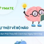 Sự thật về bộ não
