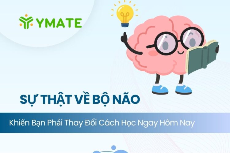 Sự thật về bộ não