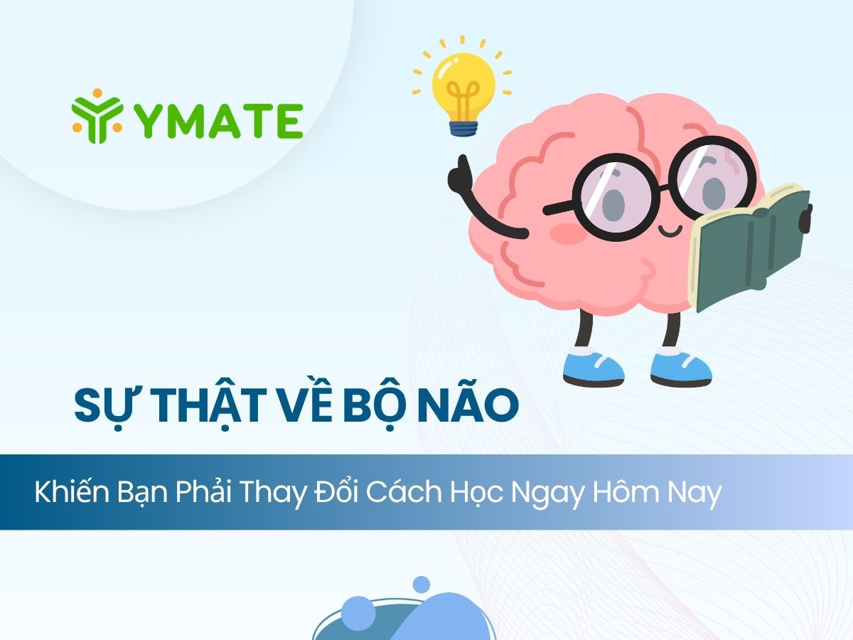 Sự thật về bộ não