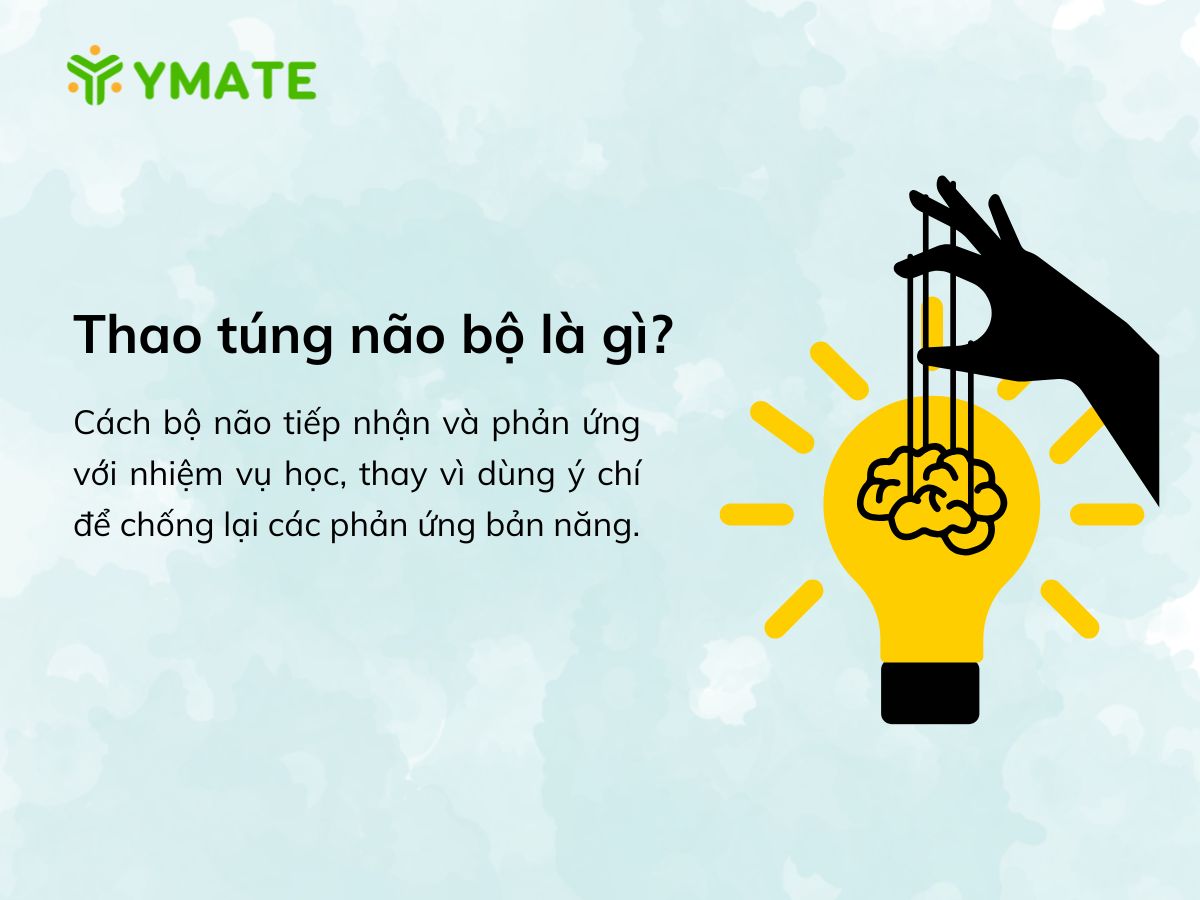 Thao túng não bộ là gì
