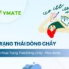 Trạng thái dòng chảy