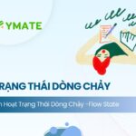 Trạng thái dòng chảy
