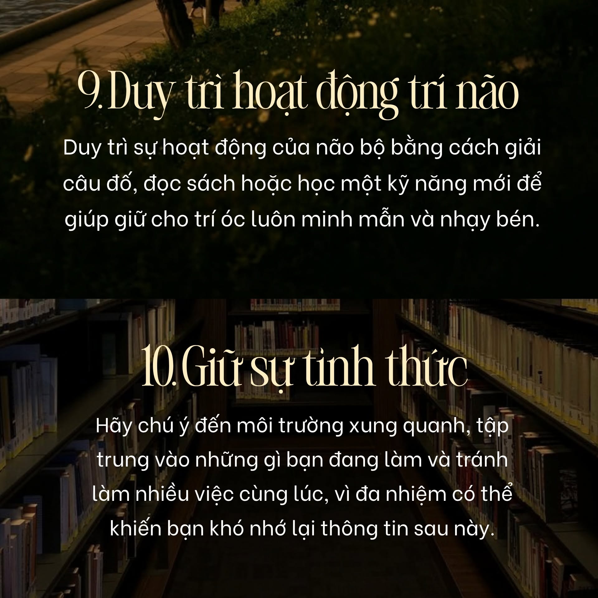 Duy trì hoạt động trí não và giữ sự tỉnh thức