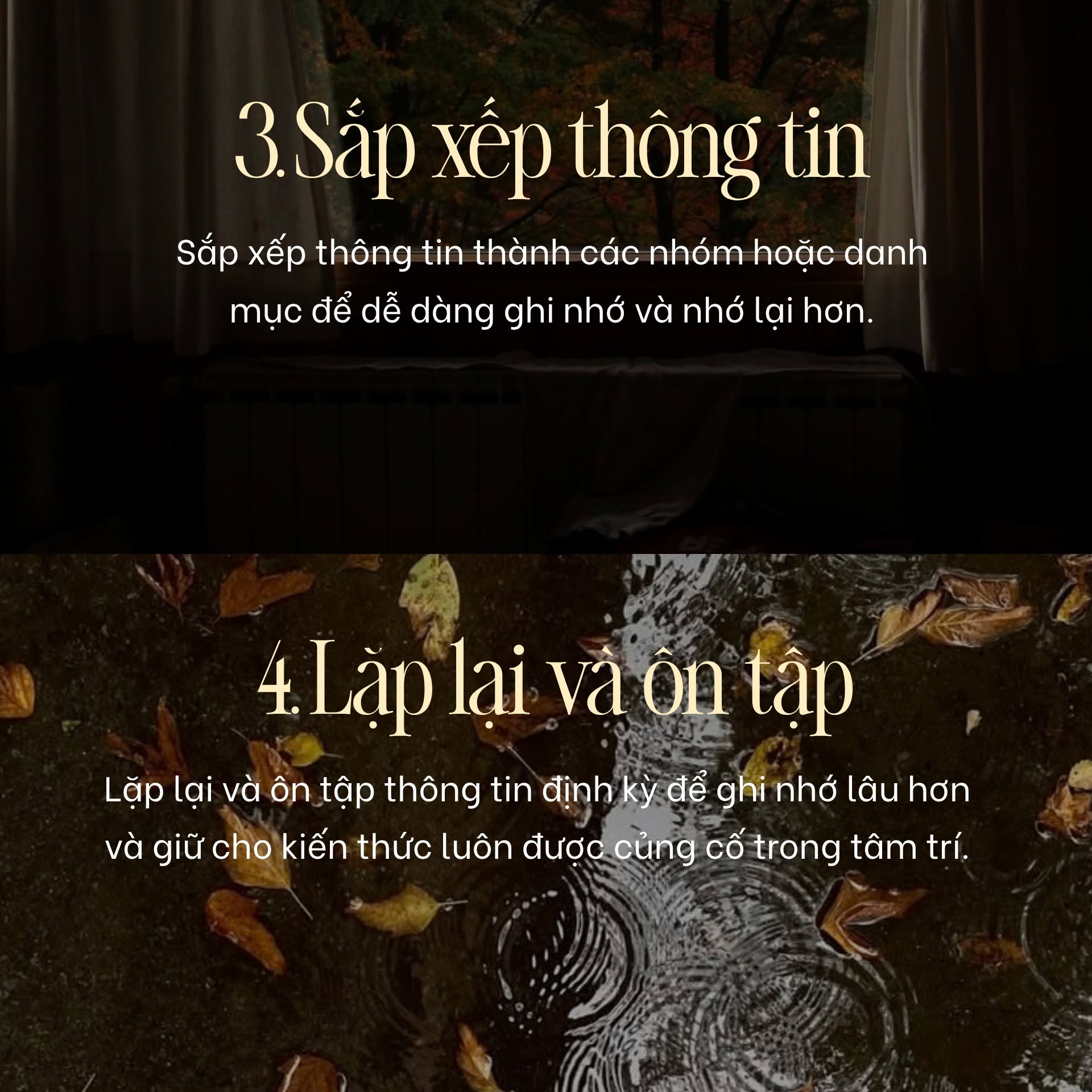 Sắp xếp thông tin, lặp lại và ôn tâp