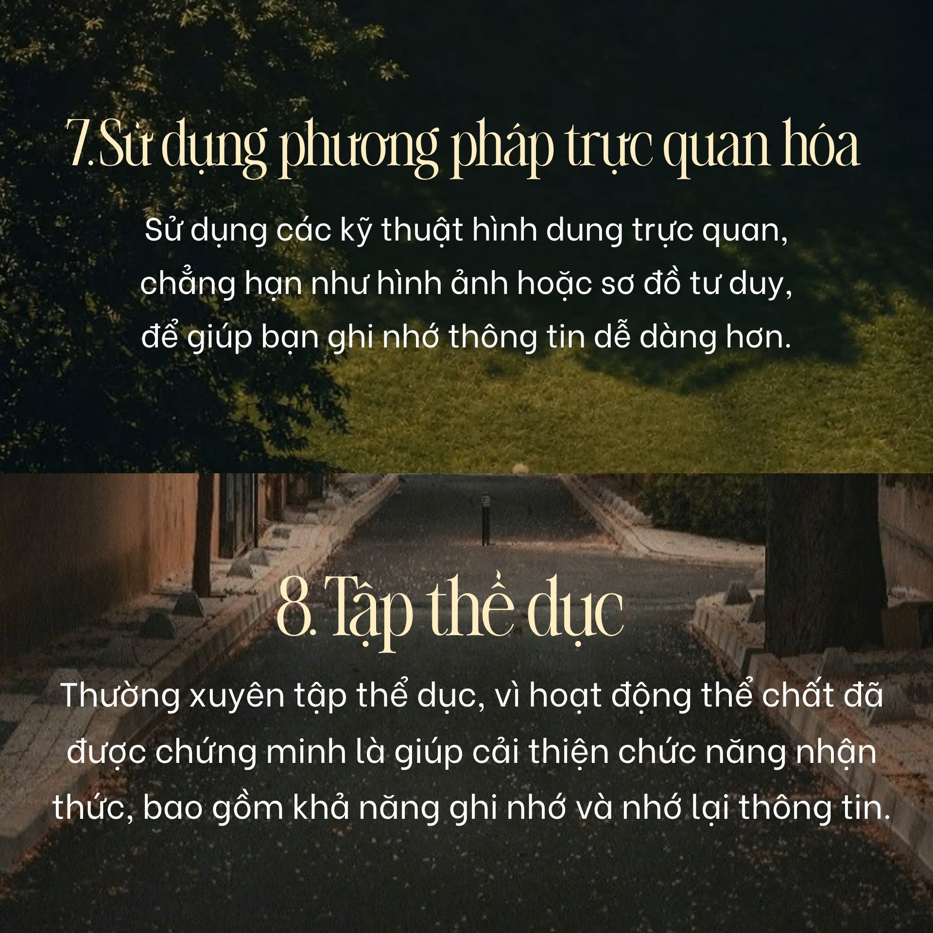 Sử dụng phương pháp trực quan hóa và tập thể dục
